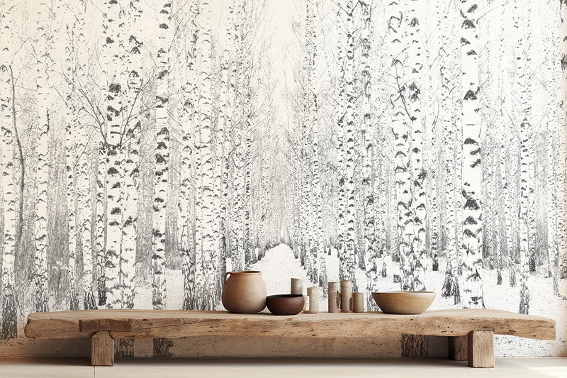 Birch Forest