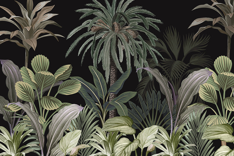 Black Jungle