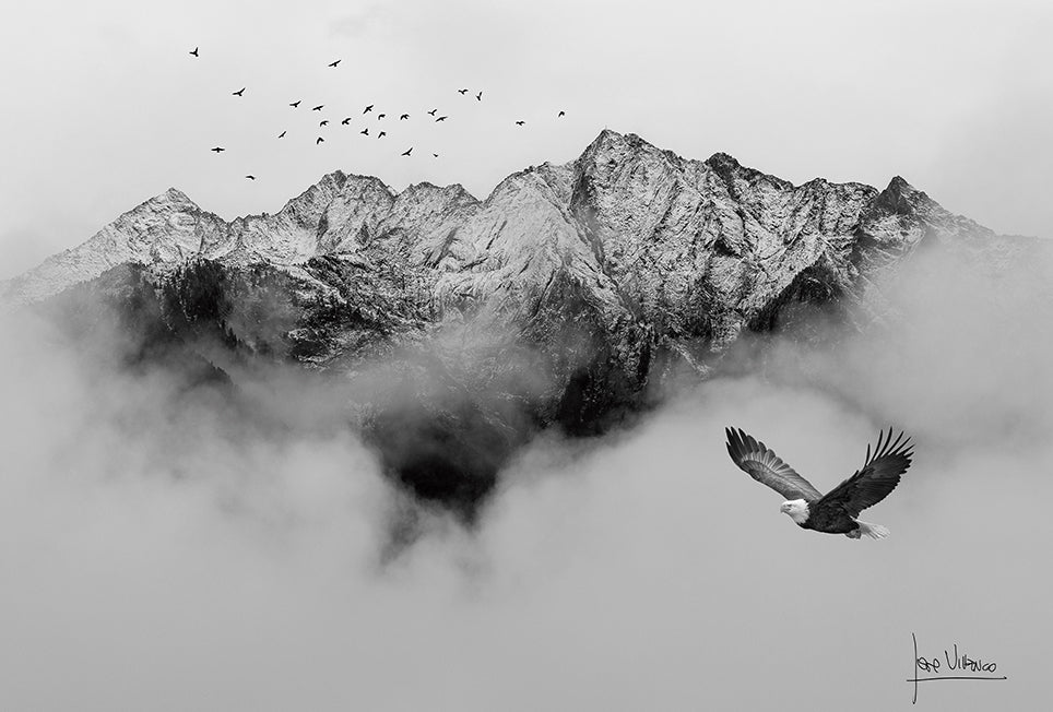 Andes