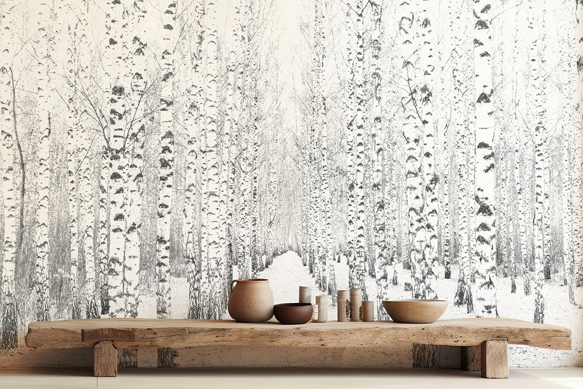 Birch Forest