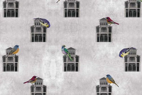 Bird House