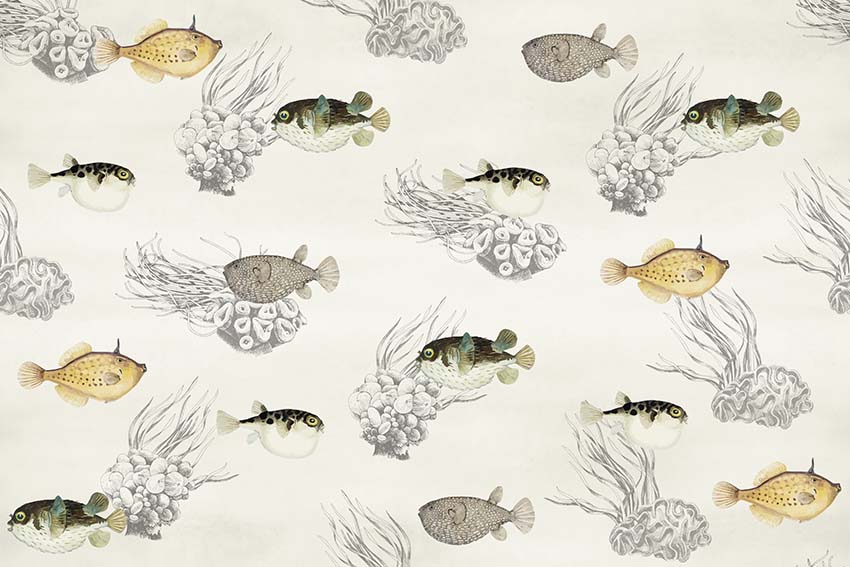 Blowfish