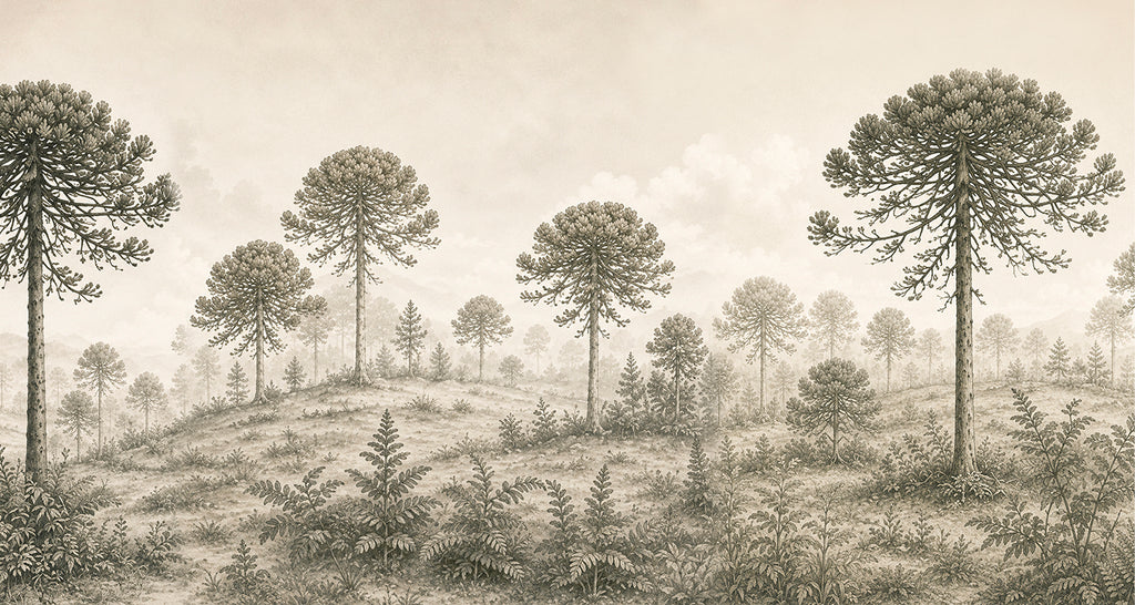 Bosque de Araucarias