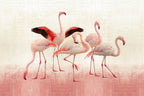 FLAMINGOS