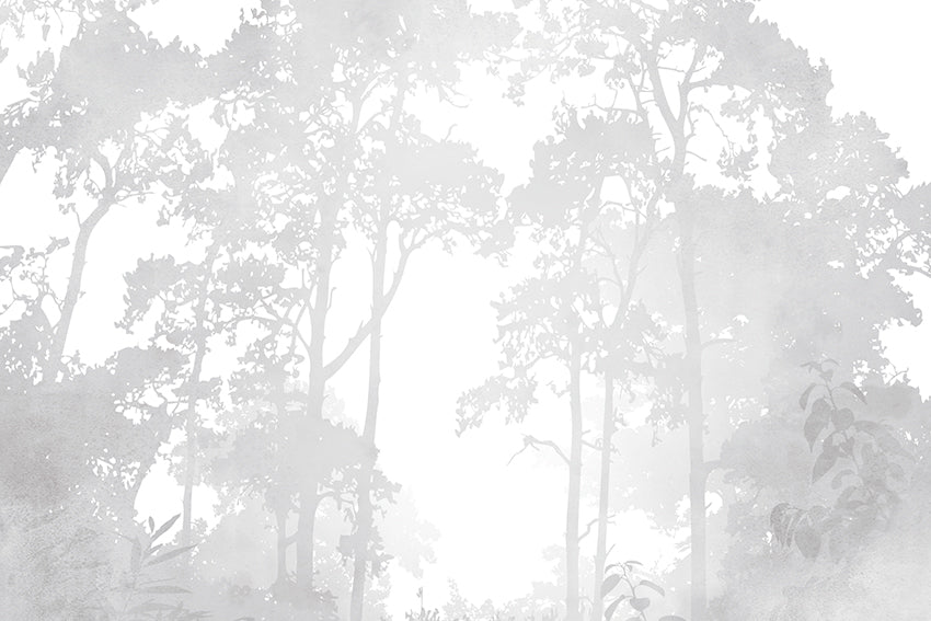 Foggy Forest