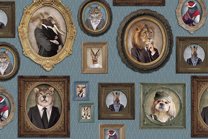 Frame Animals