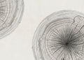 GROWTH RINGS