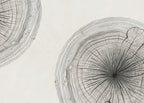 GROWTH RINGS
