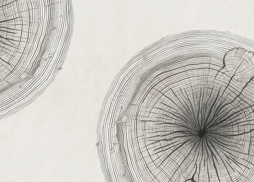 GROWTH RINGS