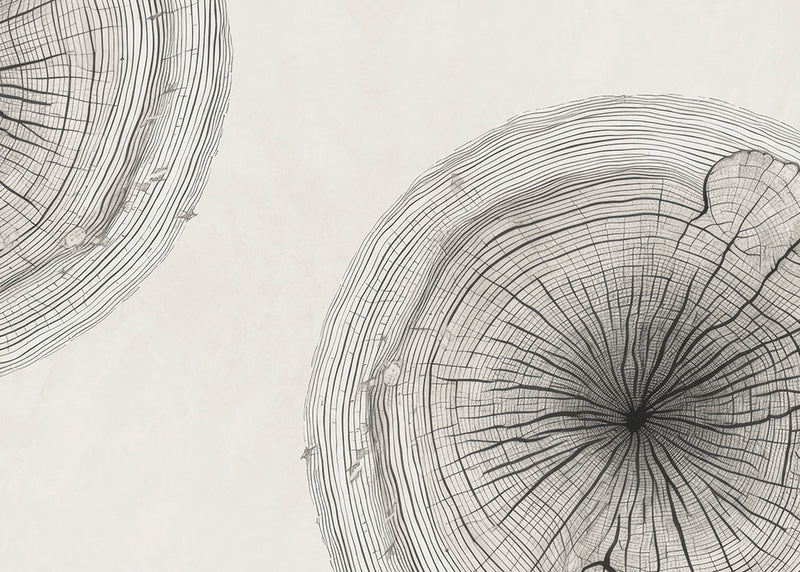 GROWTH RINGS
