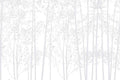 Grey forest