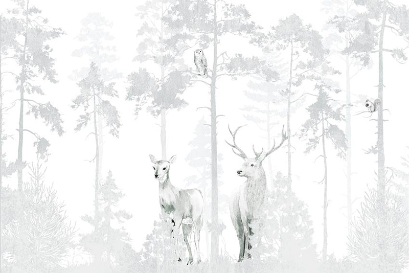 FORESTA