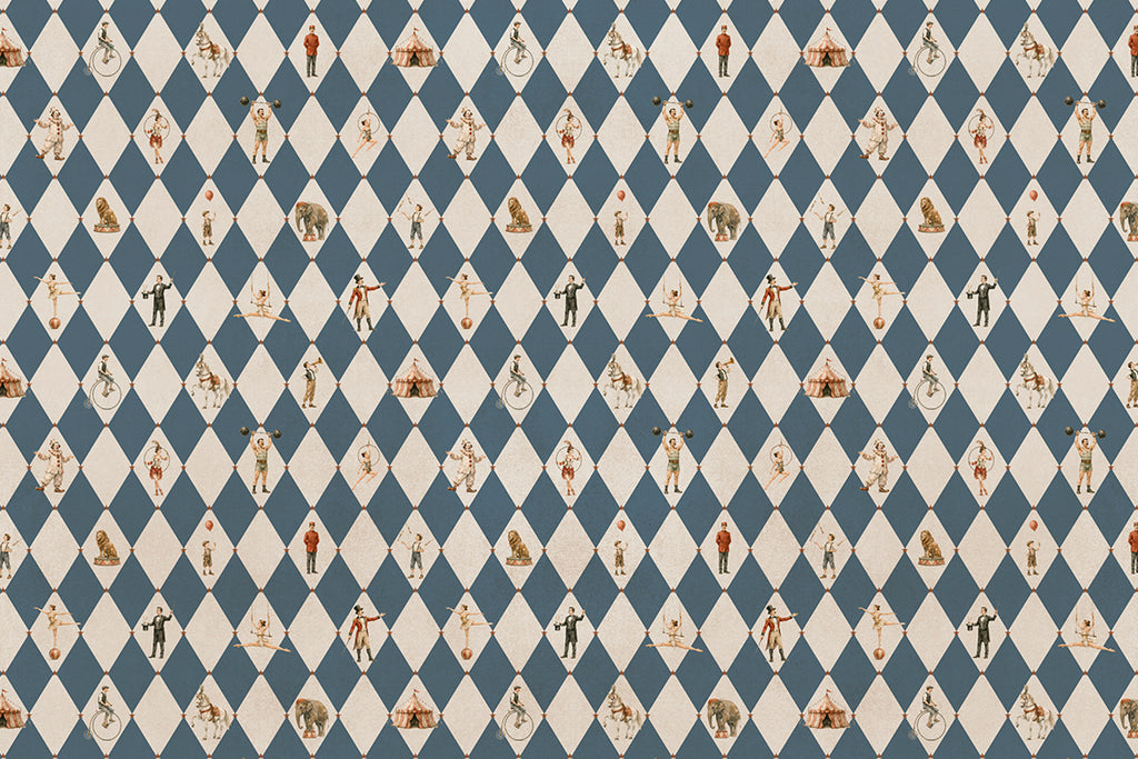 Le Cirque Bleu