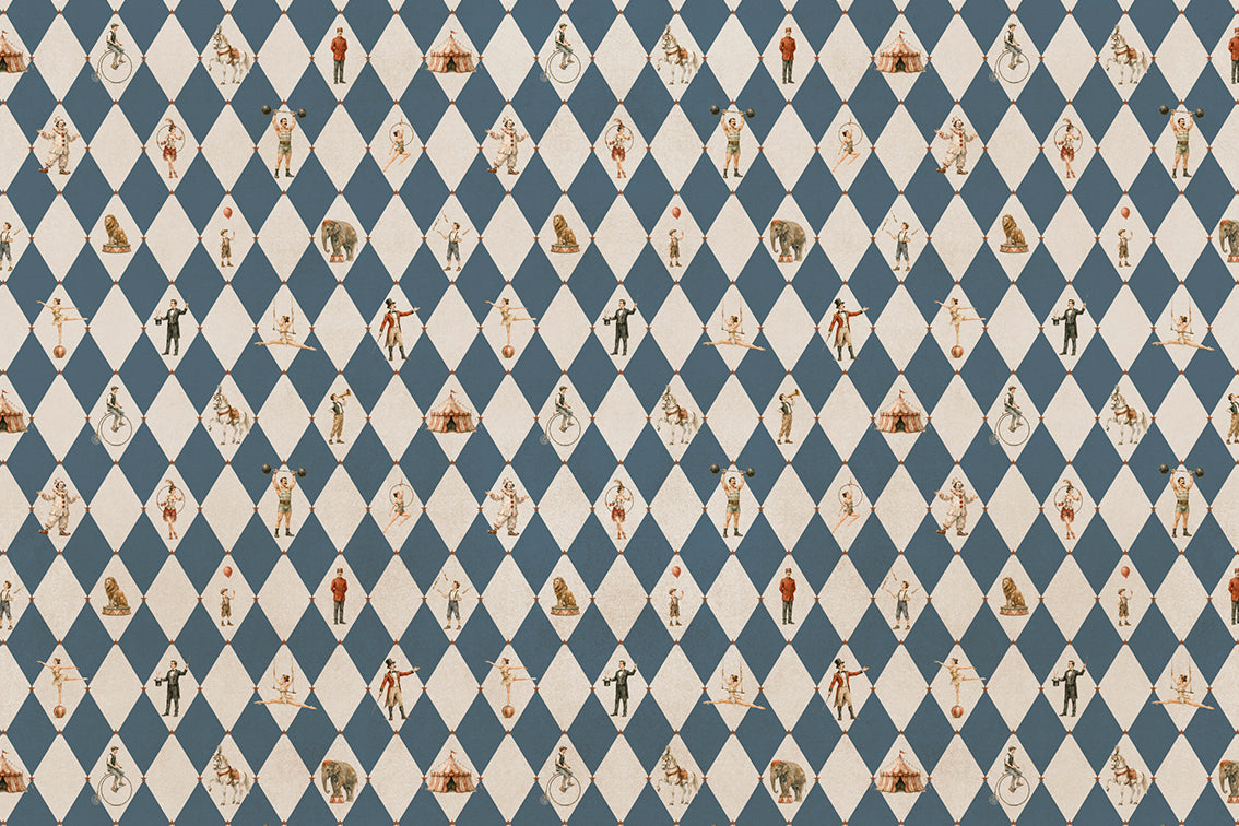 Le Cirque Bleu