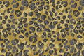 Leopard Print Y