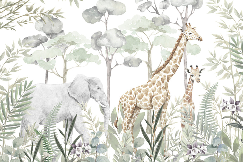 Savanna