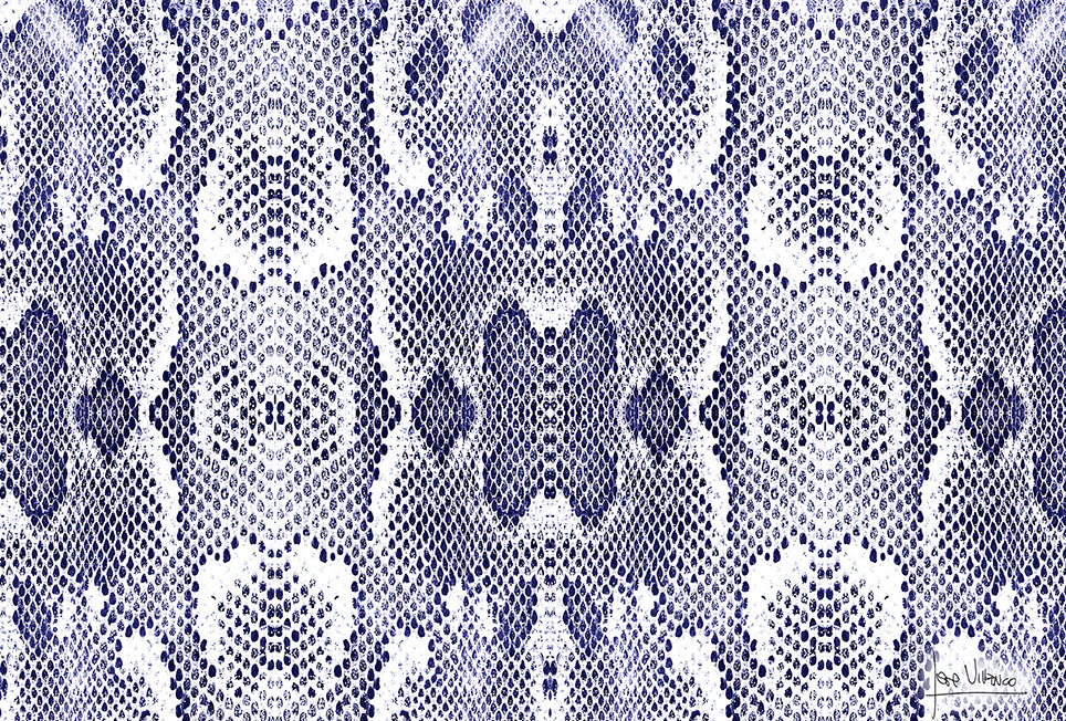 Snake Blue