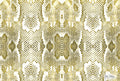 Snake Yellow 0022