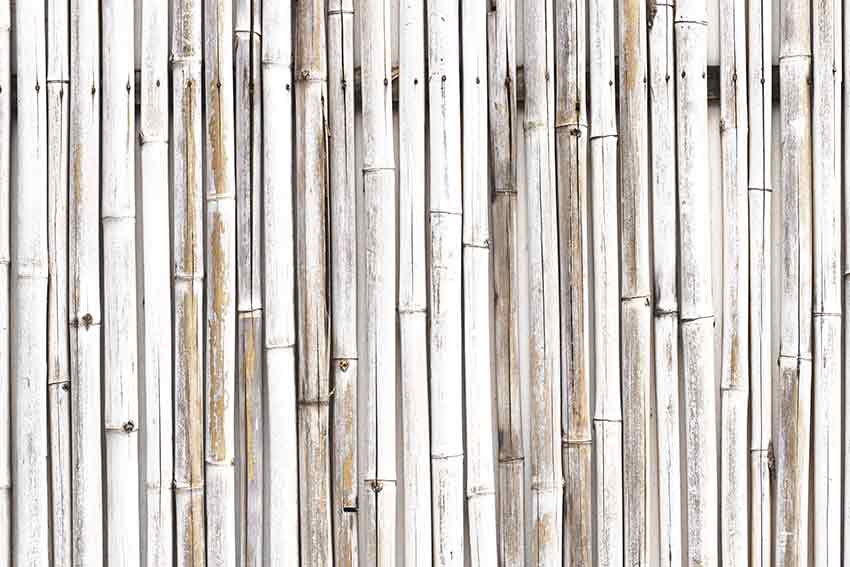 Bamboo