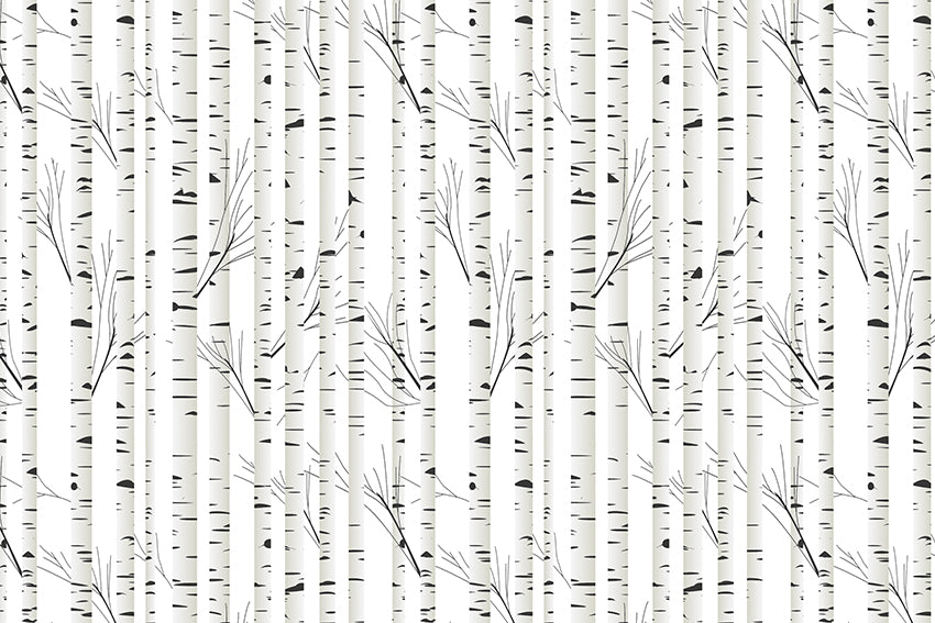 Birch trees