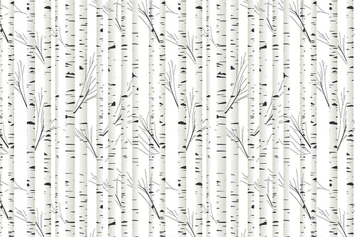Birch trees