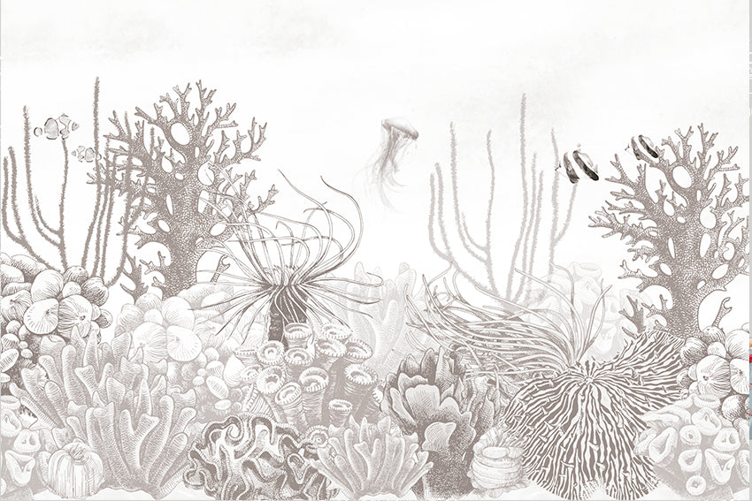 Coral Life