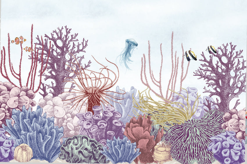 Coral Life