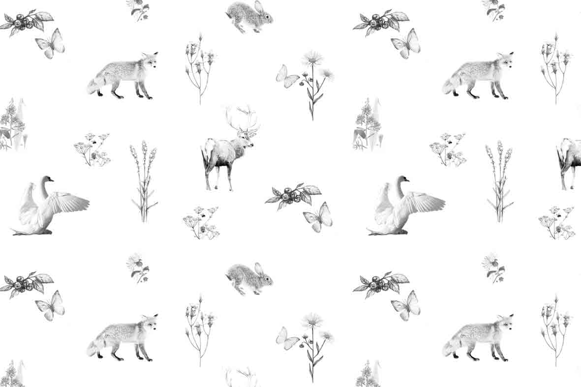 Fauna y flora
