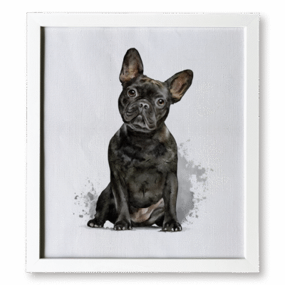 Bulldog Black 35x39
